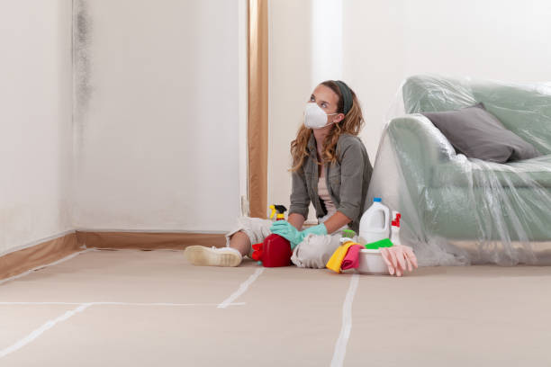 Reliable Mold Cleanup contractor in New Paris, PA by WQB Mold Removal